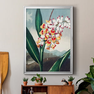 Temple of Flora VII Premium Framed Print - Ready to Hang