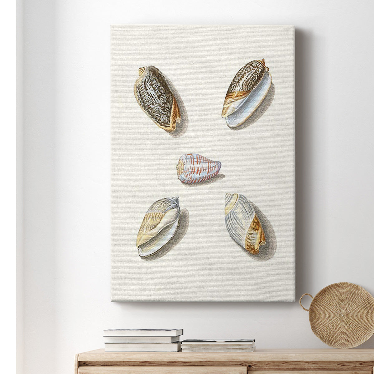 Pastel Knorr Shells III Premium Gallery Wrapped Canvas - Ready to Hang