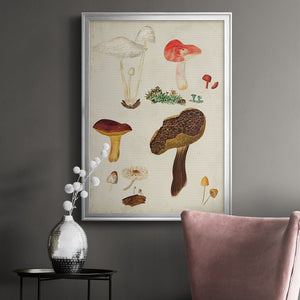 Mushroom Species XI Premium Framed Print - Ready to Hang