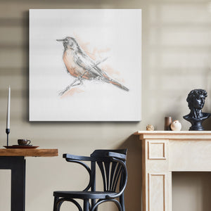 Robin Bird Sketch II-Premium Gallery Wrapped Canvas - Ready to Hang