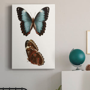 Antique Blue Butterflies IV Premium Gallery Wrapped Canvas - Ready to Hang