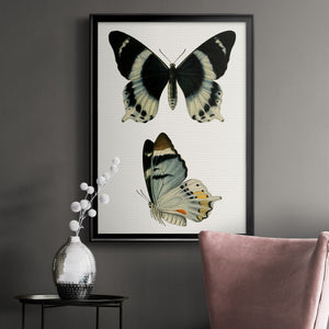 Antique Blue Butterflies I Premium Framed Print - Ready to Hang