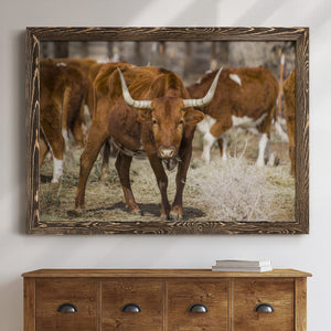 Longhorns-Premium Framed Canvas - Ready to Hang