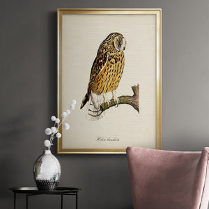 French Owls II Premium Framed Print - Ready to Hang