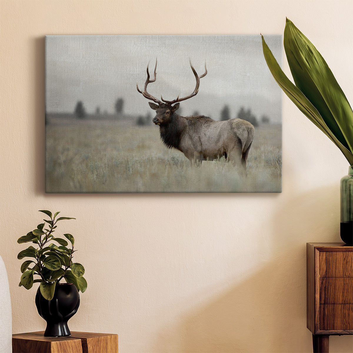 Grand Elk Premium Gallery Wrapped Canvas - Ready to Hang