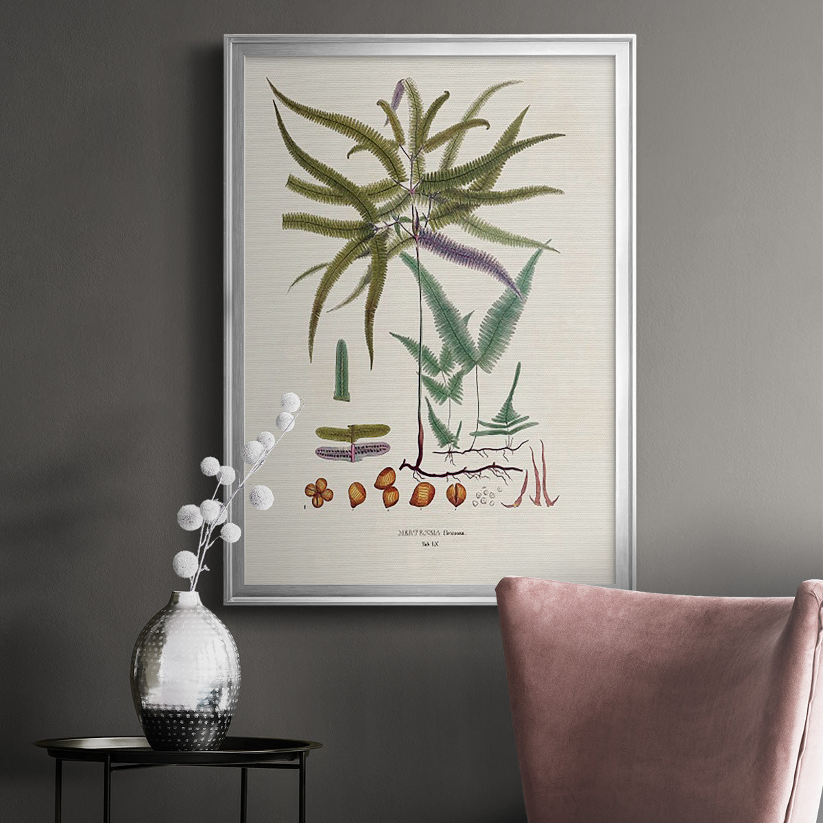 Botanical Society Ferns VIII Premium Framed Print - Ready to Hang