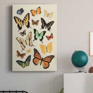 Collected Flutter I Premium Gallery Wrapped Canvas - Ready to Hang