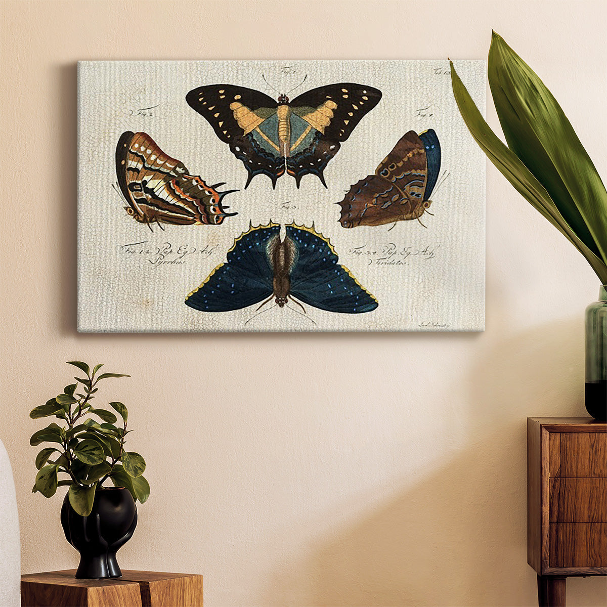 Crackled Butterflies IV Premium Gallery Wrapped Canvas - Ready to Hang