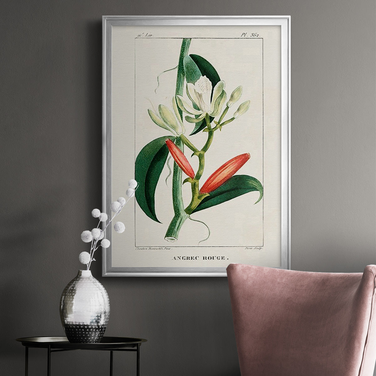 Turpin Tropical Botanicals IX Premium Framed Print - Ready to Hang
