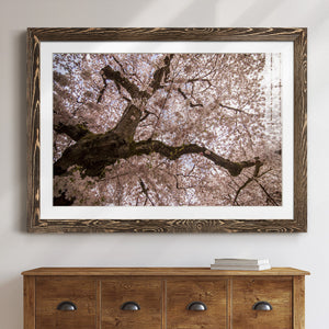 Spring's Arrival-Premium Framed Print - Ready to Hang