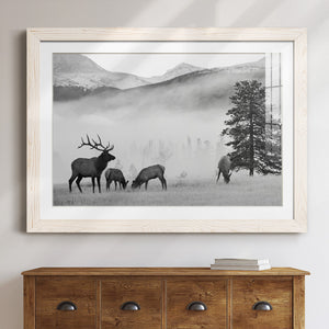 Mountain Elk-Premium Framed Print - Ready to Hang