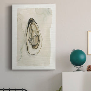 Soft Half Shell I Premium Gallery Wrapped Canvas - Ready to Hang