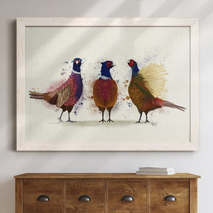 Pheasant Trio-Premium Framed Canvas - Ready to Hang