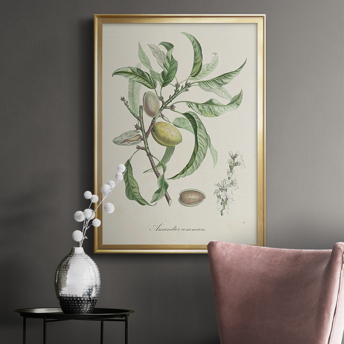 Antique Almond Botanical IV Premium Framed Print - Ready to Hang