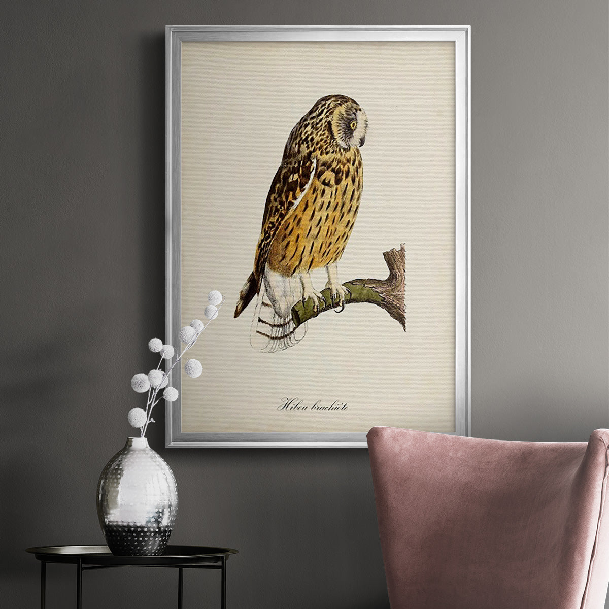 French Owls II Premium Framed Print - Ready to Hang