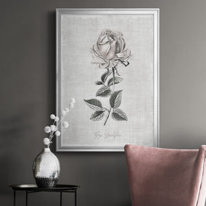 Vintage Botanical II Premium Framed Print - Ready to Hang