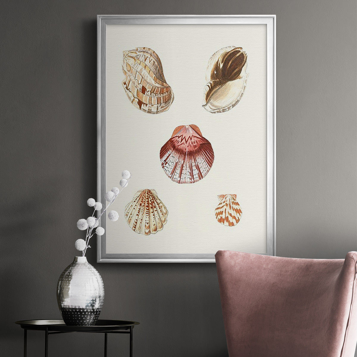 Pastel Knorr Shells V Premium Framed Print - Ready to Hang