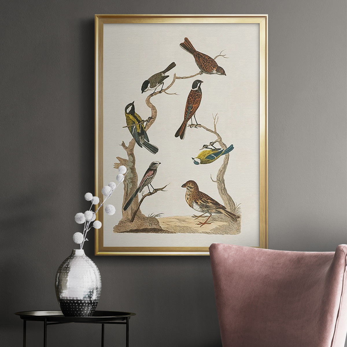 Antique Birds in Nature II Premium Framed Print - Ready to Hang