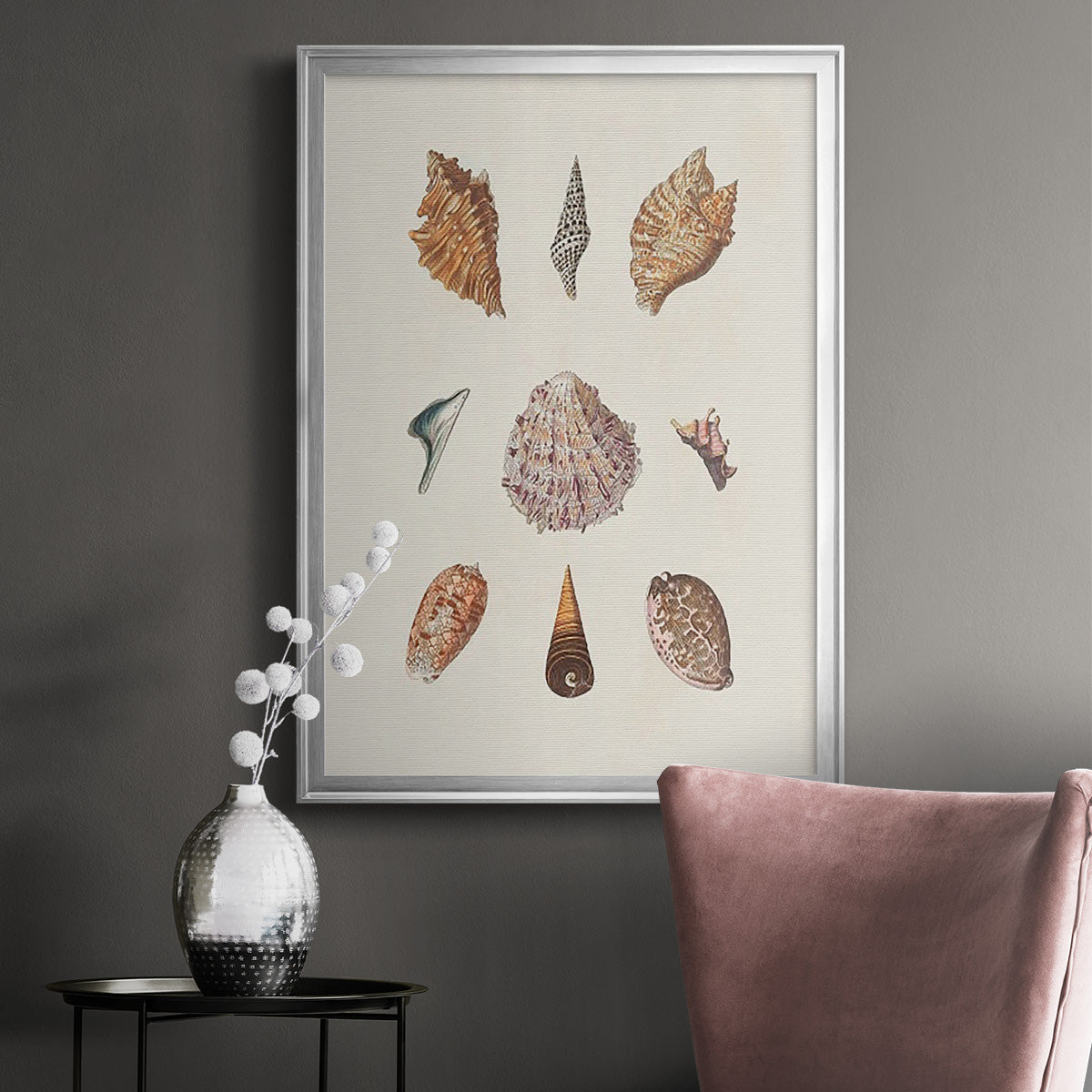 Knorr Shells & Coral VI Premium Framed Print - Ready to Hang