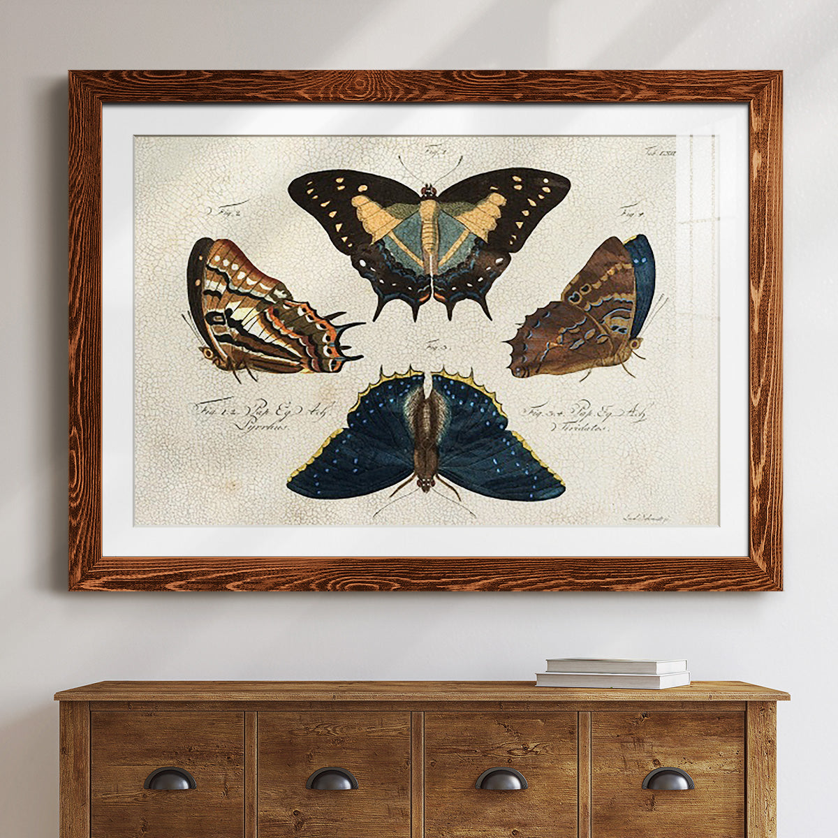 Crackled Butterflies IV-Premium Framed Print - Ready to Hang