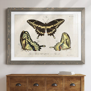 Crackled Butterflies I-Premium Framed Print - Ready to Hang