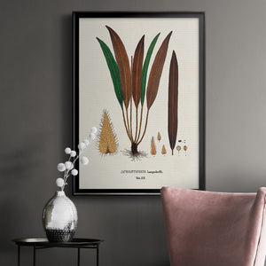 Botanical Society Ferns I Premium Framed Print - Ready to Hang