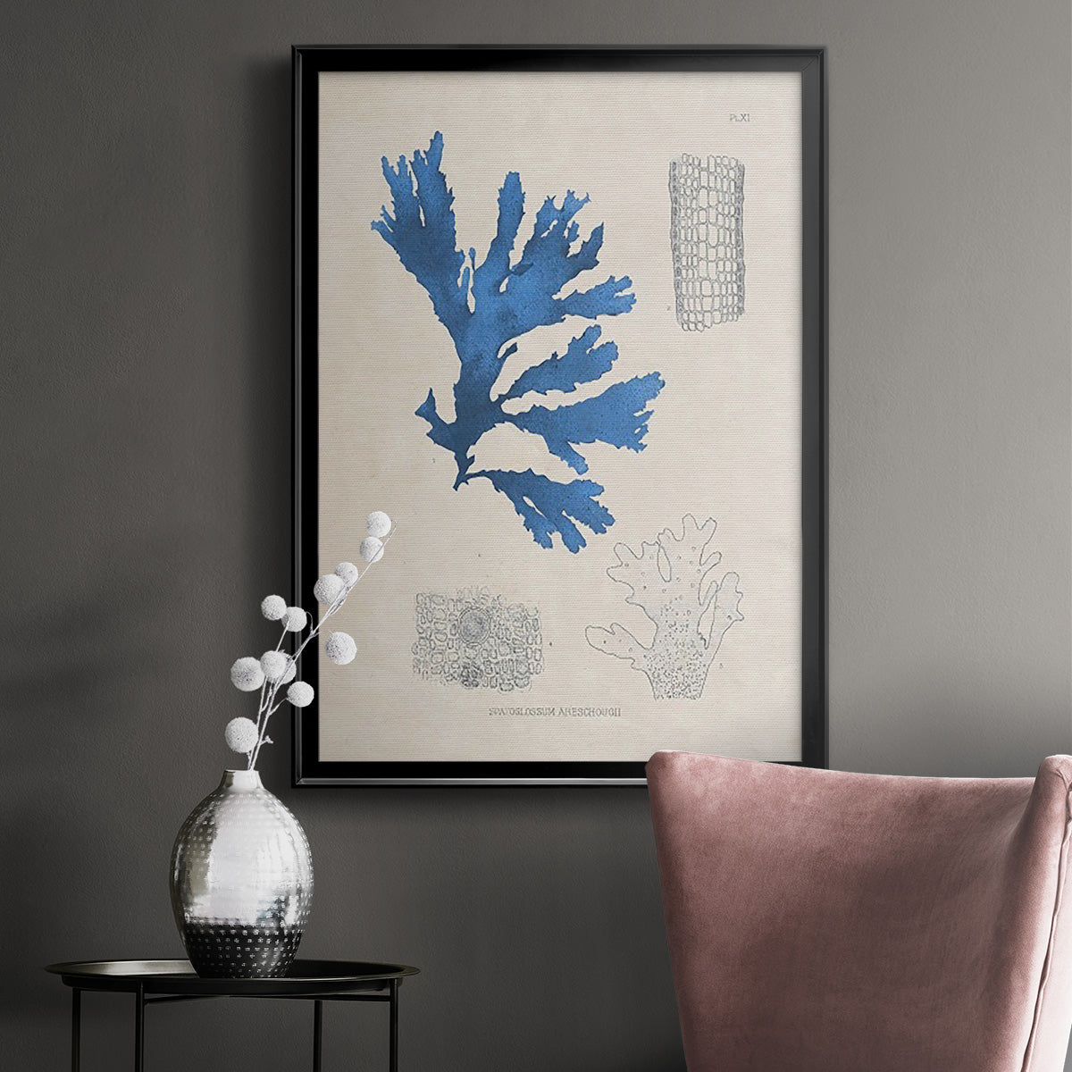 Blue Marine Algae VIII Premium Framed Print - Ready to Hang