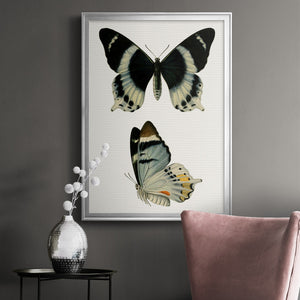 Antique Blue Butterflies I Premium Framed Print - Ready to Hang