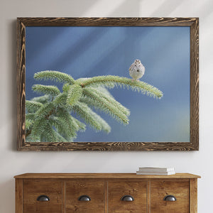 Evergreen Perch-Premium Framed Canvas - Ready to Hang