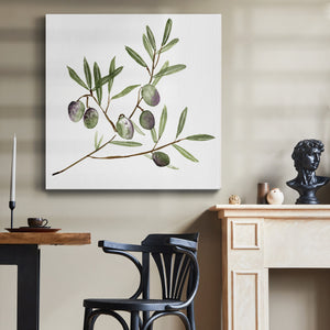 Olive Branch II-Premium Gallery Wrapped Canvas - Ready to Hang