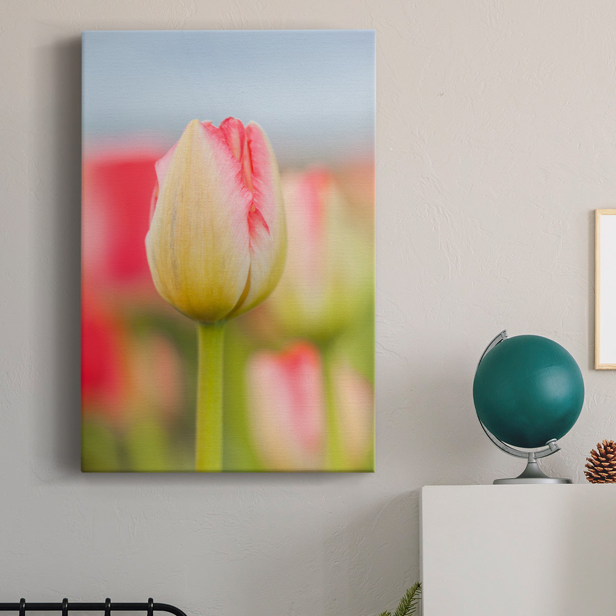 Twotone Tulip Premium Gallery Wrapped Canvas - Ready to Hang