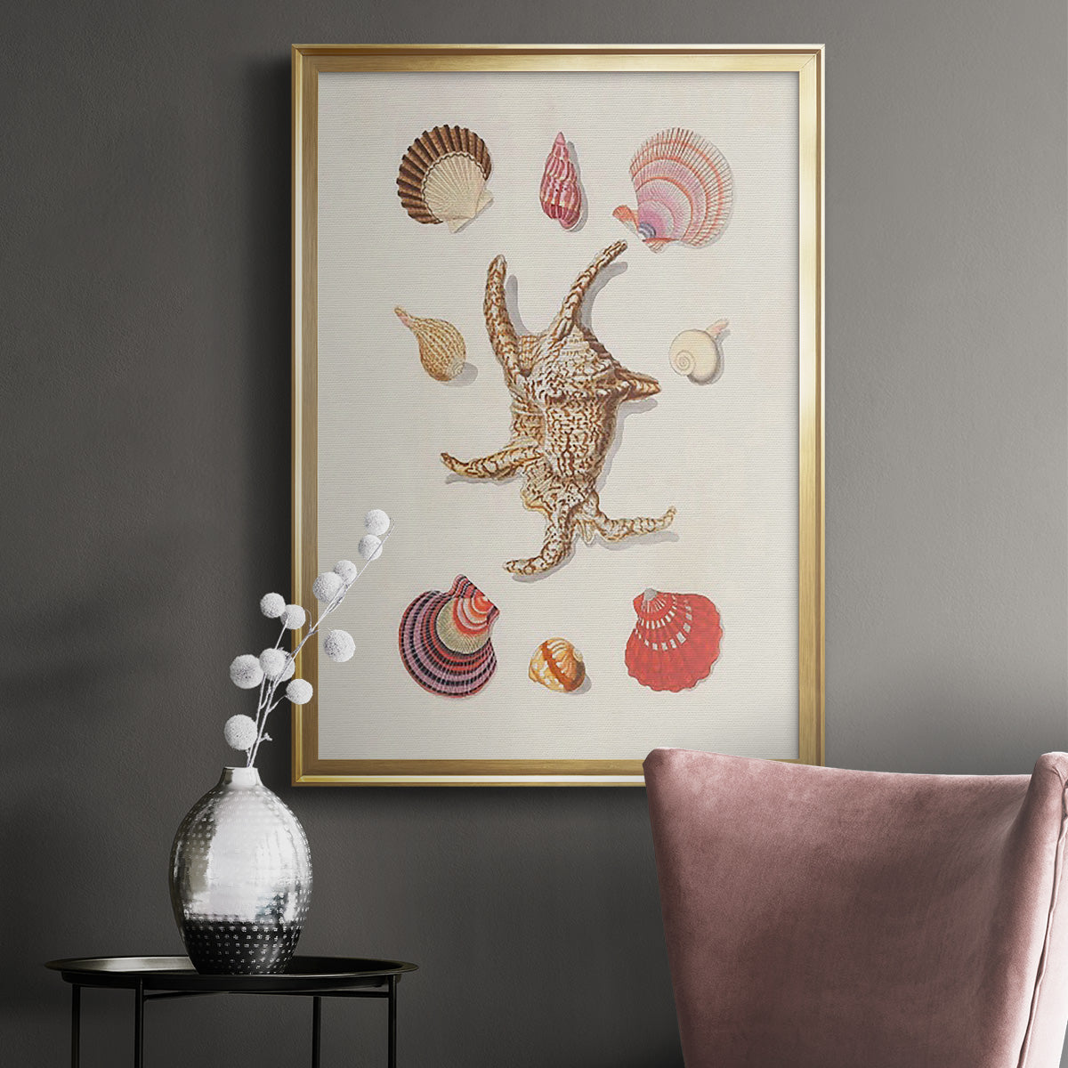 Knorr Shells & Coral II Premium Framed Print - Ready to Hang