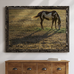 Long Shadow-Premium Framed Canvas - Ready to Hang