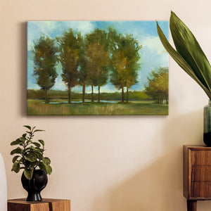 Tall Trees Premium Gallery Wrapped Canvas - Ready to Hang