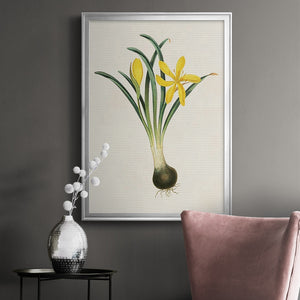 Flowers of the Seasons VI Premium Framed Print - Ready to Hang