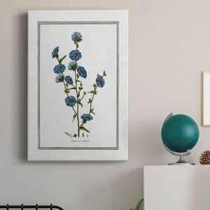 Soft Botanical I Premium Gallery Wrapped Canvas - Ready to Hang