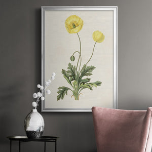 Flowers of the Seasons XII Premium Framed Print - Ready to Hang