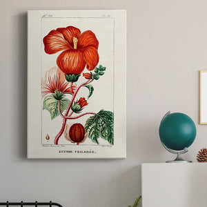 Turpin Tropical Botanicals VII Premium Gallery Wrapped Canvas - Ready to Hang