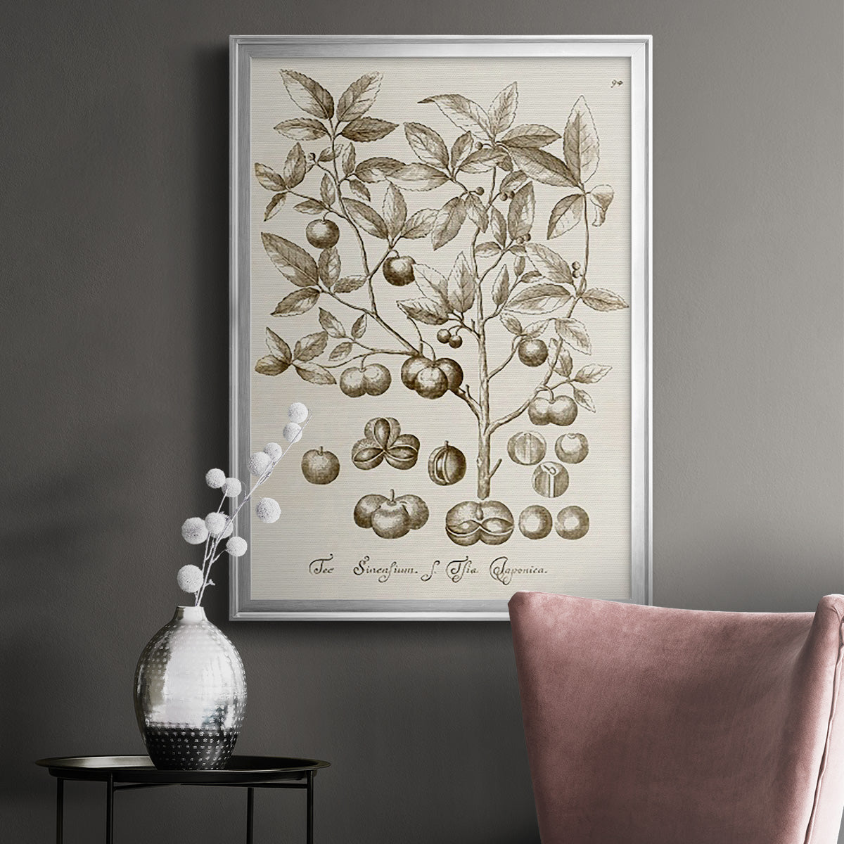 Sepia Botanical Journal II Premium Framed Print - Ready to Hang