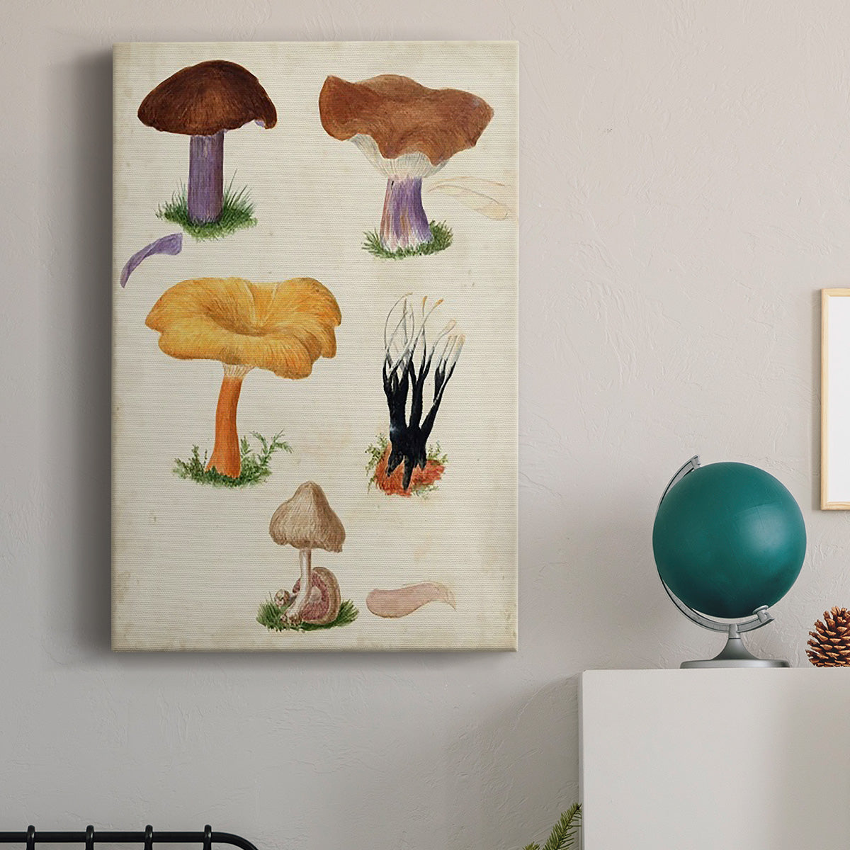 Mushroom Species VII Premium Gallery Wrapped Canvas - Ready to Hang