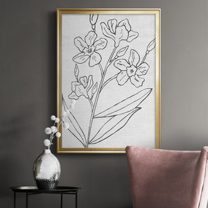 Botanical Sketch I Premium Framed Print - Ready to Hang