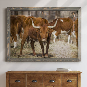Longhorns-Premium Framed Canvas - Ready to Hang