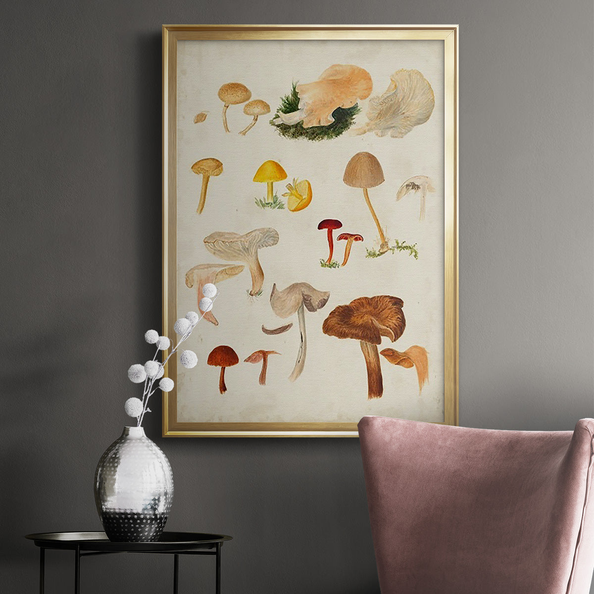 Mushroom Species XII Premium Framed Print - Ready to Hang