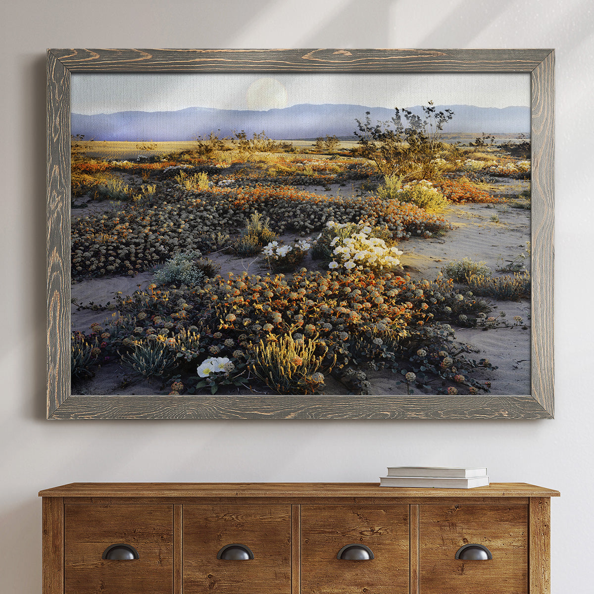 Anza Borrego Desert-Premium Framed Canvas - Ready to Hang