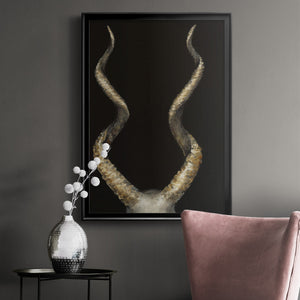 Spiral Antelope Horns Premium Framed Print - Ready to Hang