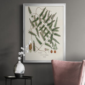 Botanical Society Ferns X Premium Framed Print - Ready to Hang