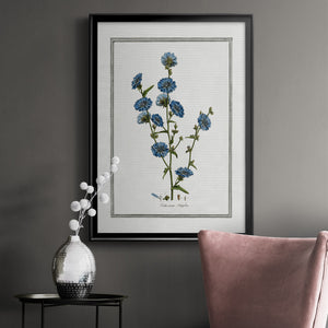 Soft Botanical I Premium Framed Print - Ready to Hang