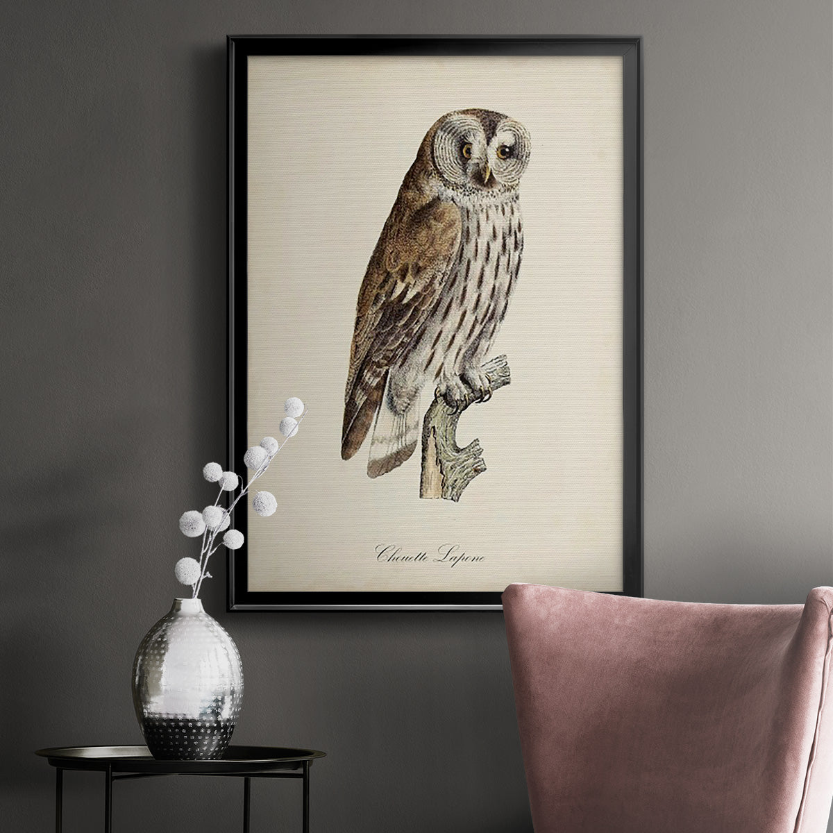 French Owls III Premium Framed Print - Ready to Hang