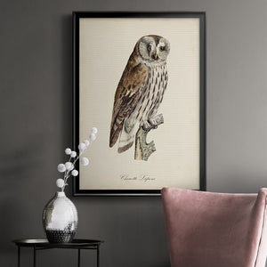 French Owls III Premium Framed Print - Ready to Hang