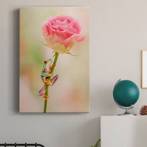 Hanging On II Premium Gallery Wrapped Canvas - Ready to Hang